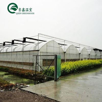 Sistema de cultivo hidropónico acuapónico en invernadero con opciones de enfriamiento y ventilación
