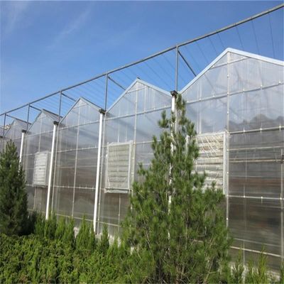 Gran invernadero de vidrio Venlo perfecto para las necesidades de crecimiento de las plantas