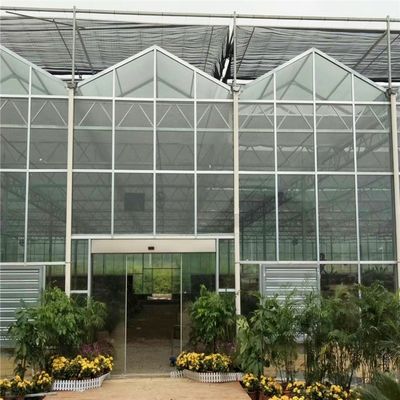 Gran invernadero de vidrio Venlo perfecto para las necesidades de crecimiento de las plantas
