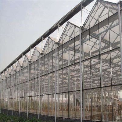 Gran invernadero de vidrio Venlo perfecto para las necesidades de crecimiento de las plantas