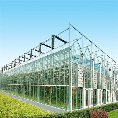 Gran invernadero de vidrio Venlo perfecto para las necesidades de crecimiento de las plantas