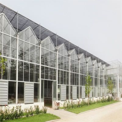 Gran invernadero de vidrio Venlo perfecto para las necesidades de crecimiento de las plantas