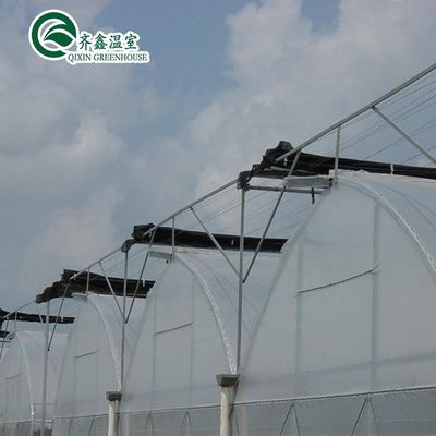 Invernadero agrícola de Corea del Sur con banco rodante de flujo de flujo de reflujo y sistema de sombreado interior