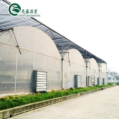 Invernadero agrícola de Corea del Sur con banco rodante de flujo de flujo de reflujo y sistema de sombreado interior