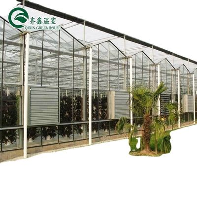3.8m-9.8m Alturas de la cresta Invernadero solar de vidrio para los requisitos del cliente