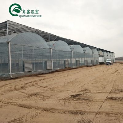 Invernadero agrícola de Corea del Sur con banco rodante de flujo de flujo de reflujo y sistema de sombreado interior
