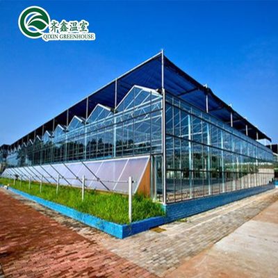 Invernaderos de jardín grandes cubiertos de vidrio para opciones de plantación versátiles