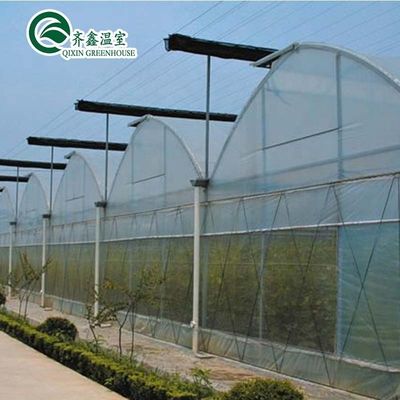 Bolsas de cultivo de PE y sistema de control automático ideales para invernaderos agrícolas de Corea del Sur
