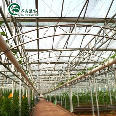 Bolsas de cultivo de PE y sistema de control automático ideales para invernaderos agrícolas de Corea del Sur