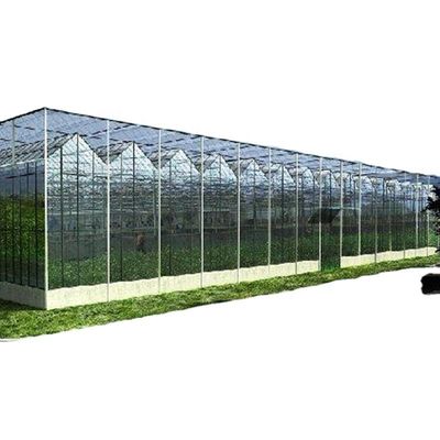 Túnel de jardín de invernadero de Canadá personalizado con vidrio o hoja PC