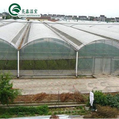 Invernadero poli-túnel cubierto con película de plástico con sistema hidropónico y ventilación