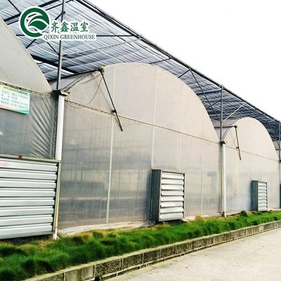 Invernadero poli-túnel cubierto con película de plástico con sistema hidropónico y ventilación