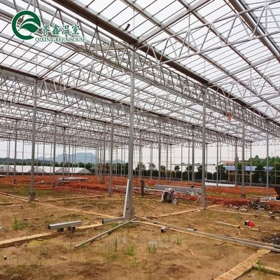 Invernadero de tuberías de acero galvanizado con jardín de torre y sistema de sombreado óptimo