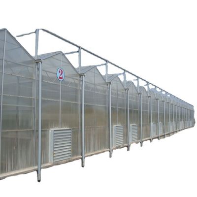 Hoja de policarbonato que cubre paneles solares transparentes para invernaderos con una gran demanda