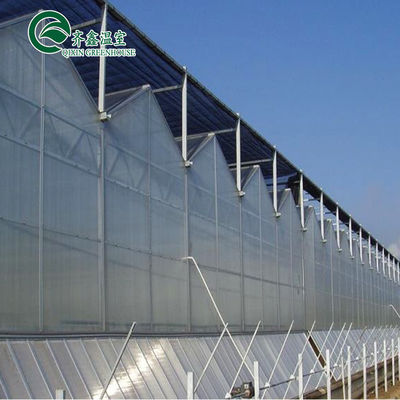 Hoja de policarbonato que cubre paneles solares transparentes para invernaderos con una gran demanda