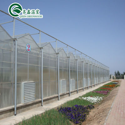 Hoja de policarbonato que cubre paneles solares transparentes para invernaderos con una gran demanda