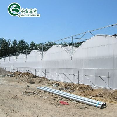 30 x 100 Invernadero de arco de múltiples tramos cubierto con película para el cultivo de vegetales con cubierta PO