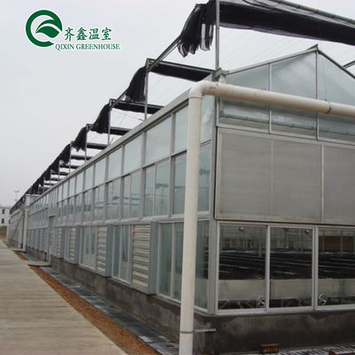 Hoja de policarbonato que cubre paneles solares transparentes para invernaderos con una gran demanda