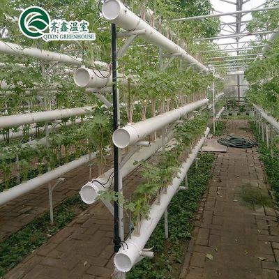 Contenedor hidropónico de doble capa de película PO para obtener resultados superiores de crecimiento de las plantas
