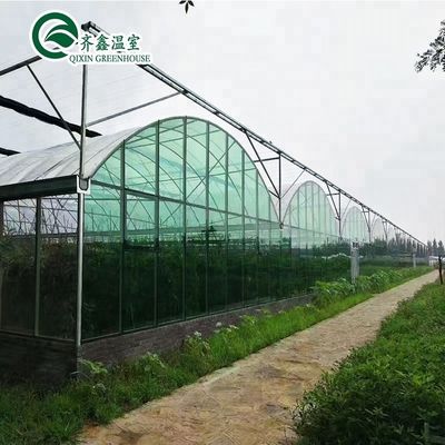 Invernaderos agrícolas de varias extensiones de doble capa Sistema hidropónico vertical de actualización