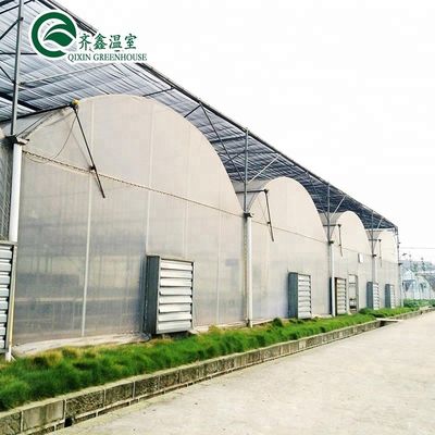 Invernaderos agrícolas de varias extensiones de doble capa Sistema hidropónico vertical de actualización
