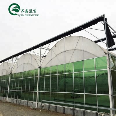 Invernaderos agrícolas de varias extensiones de doble capa Sistema hidropónico vertical de actualización
