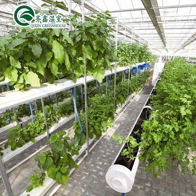 Invernaderos agrícolas de varias extensiones con película PO que redefinen los sistemas hidropónicos interiores