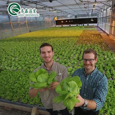 Invernaderos agrícolas de varias extensiones con película PO que redefinen los sistemas hidropónicos interiores