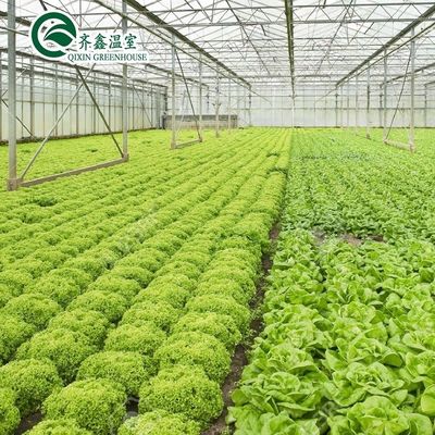 Invernaderos agrícolas de varias extensiones con película PO que redefinen los sistemas hidropónicos interiores