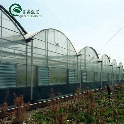 Invernaderos agrícolas de varias extensiones con película PO que redefinen los sistemas hidropónicos interiores