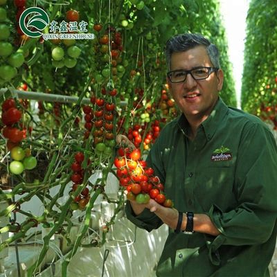 Gran bomba hidropónica para el crecimiento máximo de verduras frutas y flores