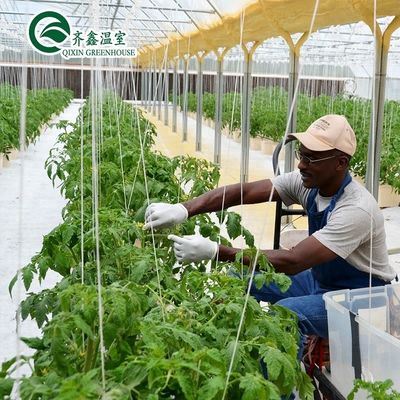 Gran bomba hidropónica para el crecimiento máximo de verduras frutas y flores