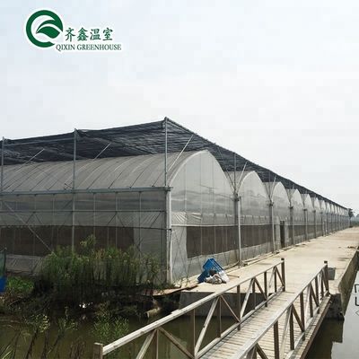 Gran bomba hidropónica para el crecimiento máximo de verduras frutas y flores