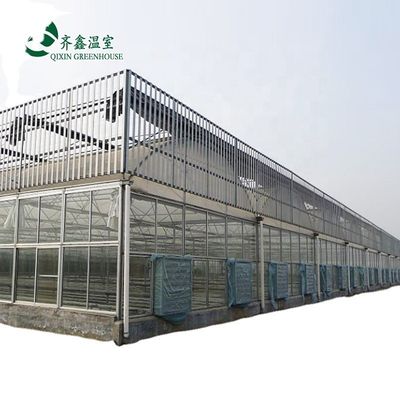Sistema de sombreado interior Equipo de invernaderos de hongos para frutas y flores vegetales