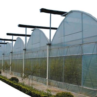 Sistema de sombreado interior Equipo de invernaderos de hongos para frutas y flores vegetales