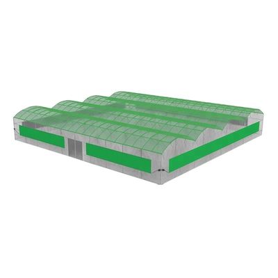 Contenedor agrícola a gran escala con invernaderos agrícolas de múltiples espacios
