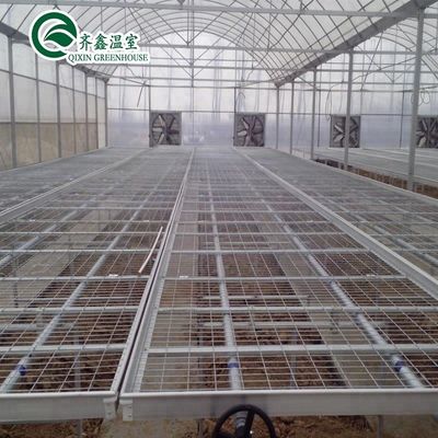 Contenedor agrícola a gran escala con invernaderos agrícolas de múltiples espacios