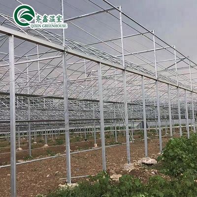 Contenedor agrícola a gran escala con invernaderos agrícolas de múltiples espacios