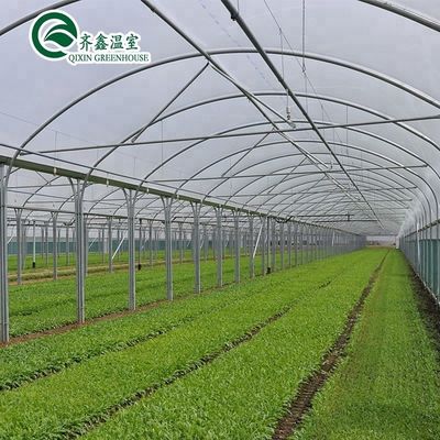 Contenedor agrícola a gran escala con invernaderos agrícolas de múltiples espacios