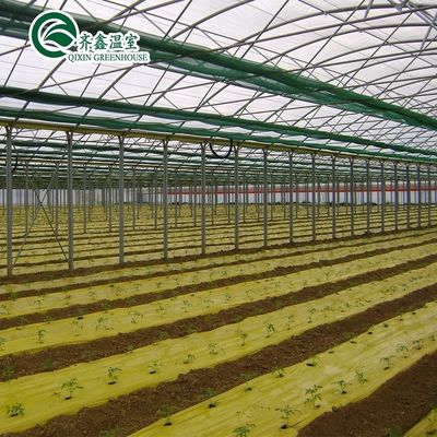 Contenedor agrícola a gran escala con invernaderos agrícolas de múltiples espacios