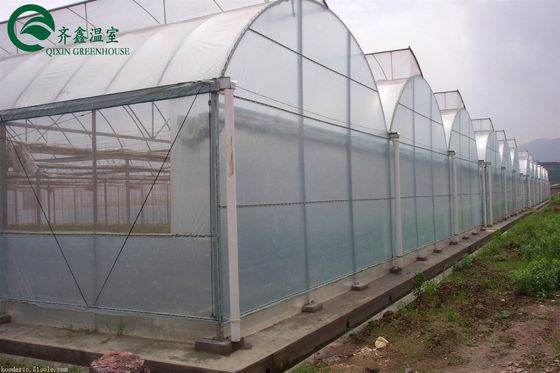 Casa verde de doble capa para el cultivo de frutas, verduras y flores