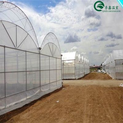 Casa verde de doble capa para el cultivo de frutas, verduras y flores