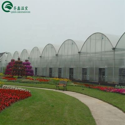 PO Invernadero de una sola capa para la agricultura impulsar la producción agrícola
