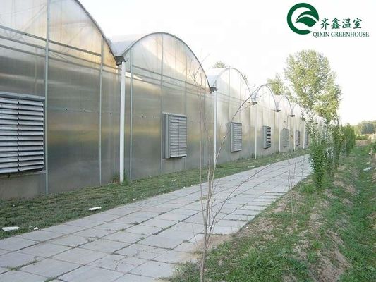 Casa verde de doble capa para el cultivo de frutas, verduras y flores