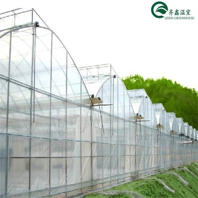 Casa verde de doble capa para el cultivo de frutas, verduras y flores