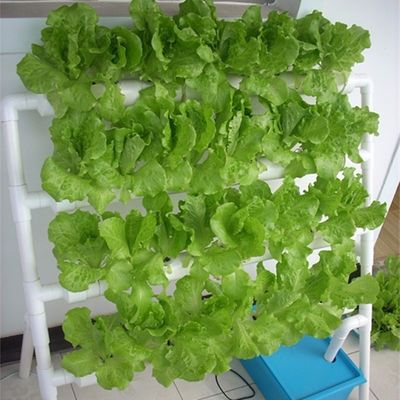PO La solución definitiva para el cultivo vertical en invernaderos agrícolas de varias extensiones