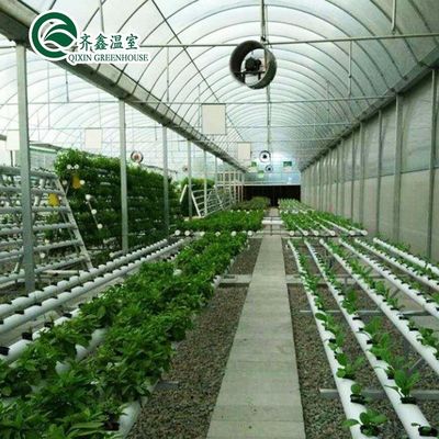 PO Invernadero de una sola capa para la agricultura impulsar la producción agrícola