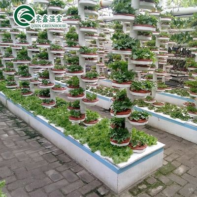 Sistemas de cultivo hidropónico en interiores protegidos con película PO para invernaderos