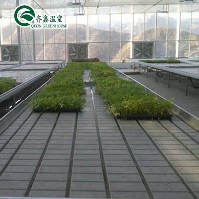 Invernaderos agrícolas de múltiples tramos Generador de CO2 para invernadero