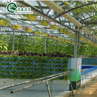 Sistemas de cultivo hidropónico en interiores protegidos con película PO para invernaderos